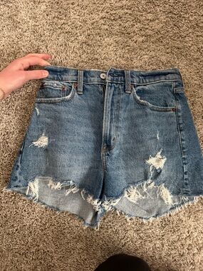 High-Rise Abercrombie Denim Mom Shorts-Curve Love